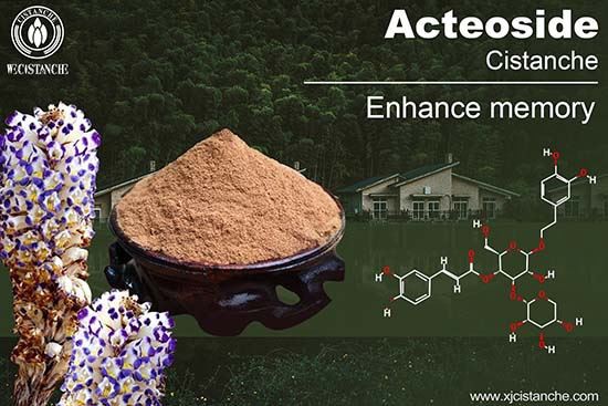 Acteoside in Cistanche (10)