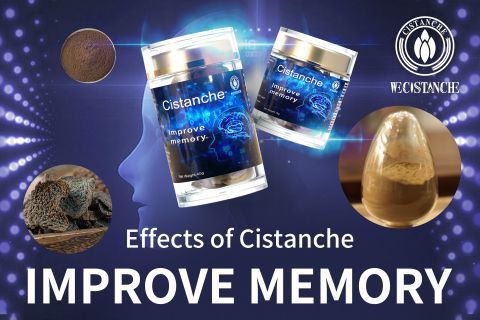 Cistanche-improve memory2