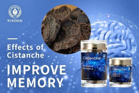 Cistanche-improve memory10