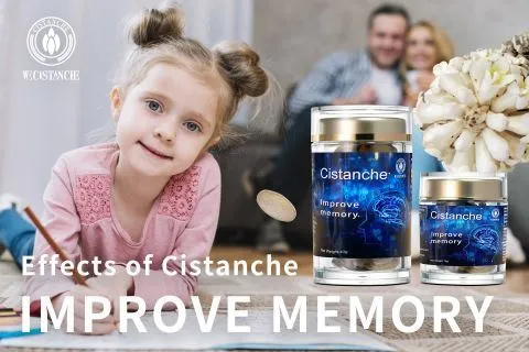 Cistanche-improve memory