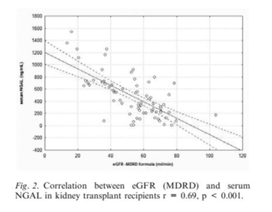 fiure 2  Acteoside in Cistanche is good for kidney function