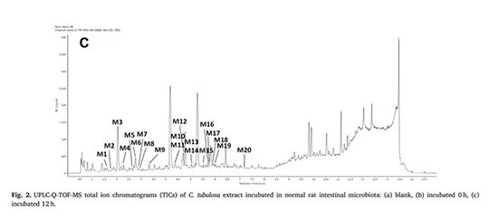 figure 2-2 Cistanche tubulosa extract