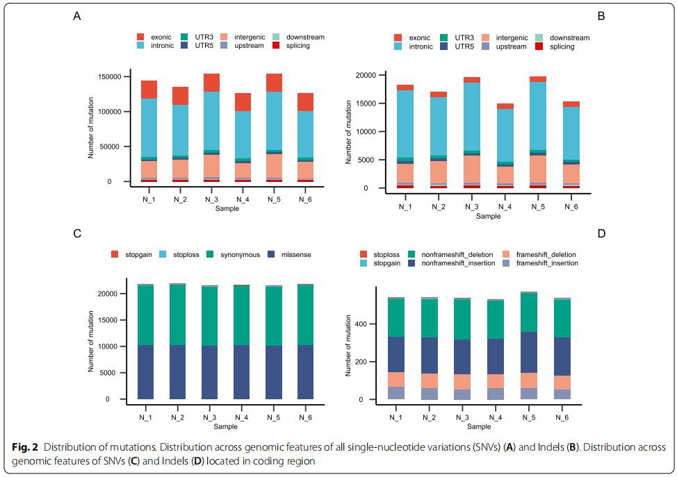 Fig. 2 Distribution of mutations. Distribution across genomic features of all single-nucleotide variations (SNVs) (A) and Indels (B). Distribution across  genomic features of SNVs (C) and Indels (D) located in coding region