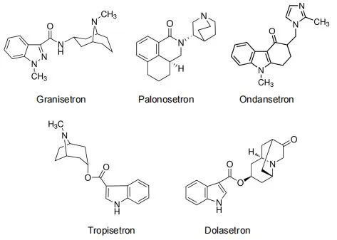 Figure 1. Structure of 5-HT3 antagonists. Figure 1. Structure of 5-HT3 antagonists.
