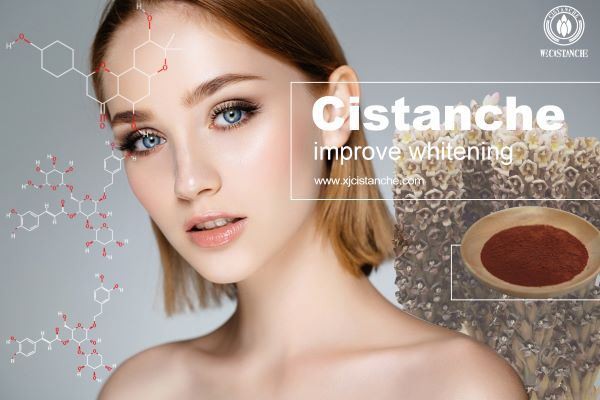 cistanche improve whitening