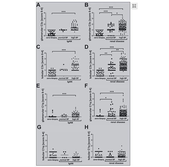 figure 5 Cistanche can treat renal disease