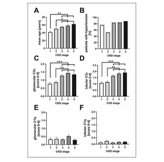 figure 7 Cistanche can treat renal disease