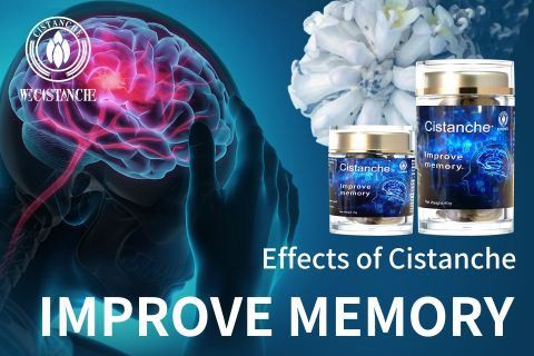 Cistanche-improve memory20