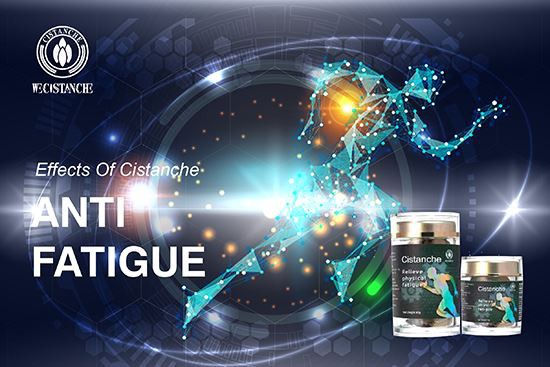 Cistanche product