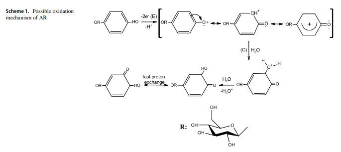 Possible oxidation  mechanism of AR