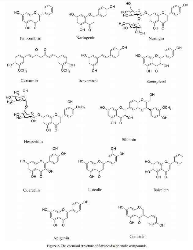 The chemical structure of flavonoids/phenolic compounds