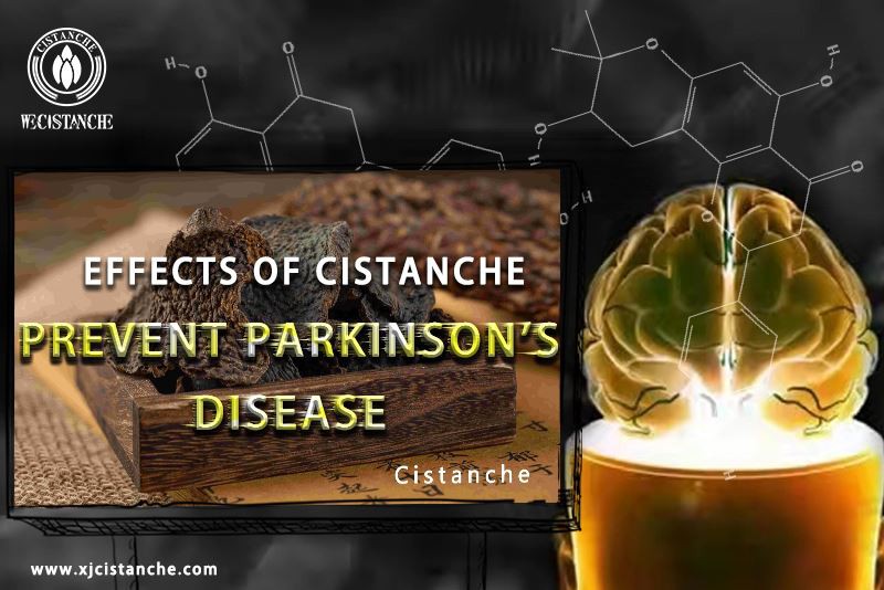 neuroprotection effect of Cistanche