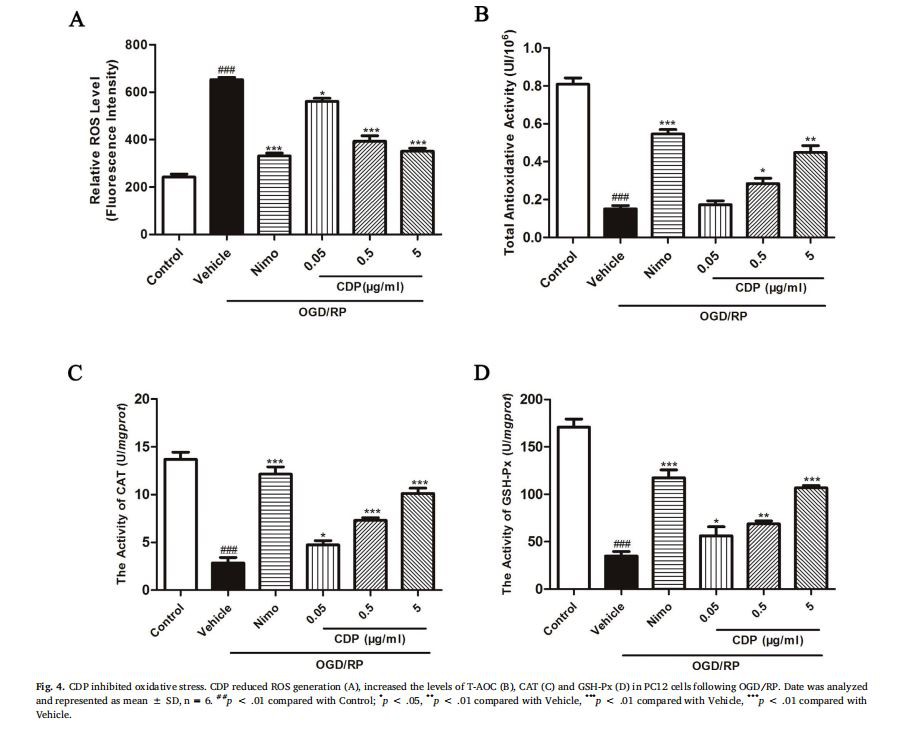 image-Cistanche deserticola polysaccharides have a Neuroprotective effect
