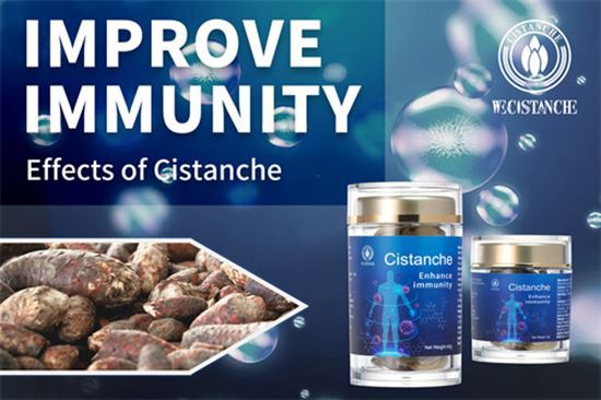 Cistanche has a good effect of improving immunity