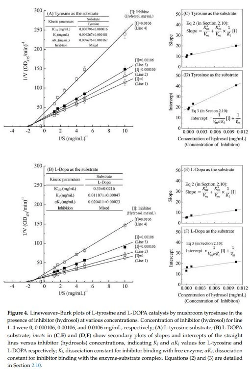 Figure 4. Lineweaver–Burk plots of L-tyrosine and L-DOPA catalysis by mushroom tyrosinase in the presence of inhibitor (hydrosol) at various concentrations Figure 4. Lineweaver–Burk plots of L-tyrosine and L-DOPA catalysis by mushroom tyrosinase in the presence of inhibitor (hydrosol) at various concentrations