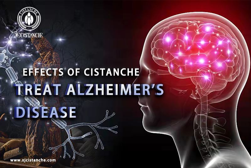 neuroprotection-cistanche neuroprotection-cistanche