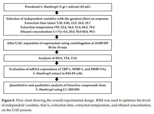 Figure 8. Flow chart showing the overall experimental design