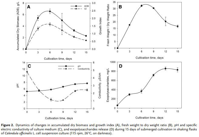 Figure 2. Dynamics of changes in accumulated dry biomass and growth index (A)