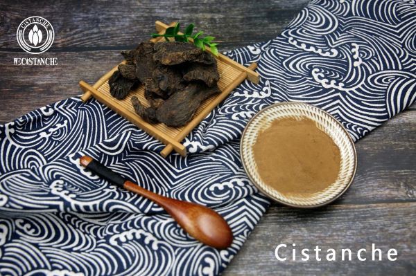 cistanche roots & cistanche extract