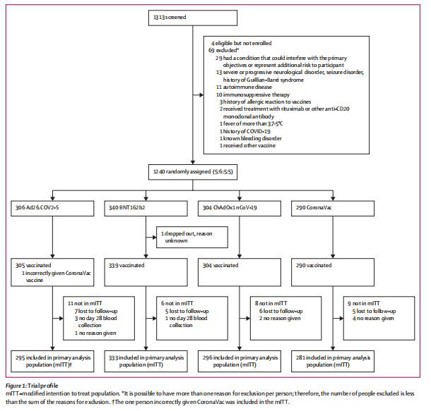  Trial profile