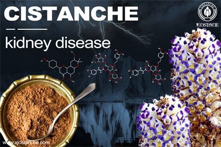 kidney disease treatment:desertliving cistanche extract