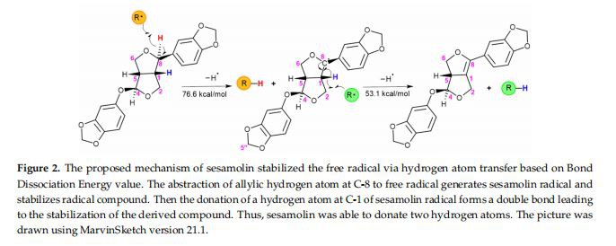 the proposed mechanism of sesamolin