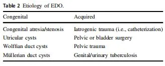 Table 2 Etiology of EDO. Table 2 Etiology of EDO.