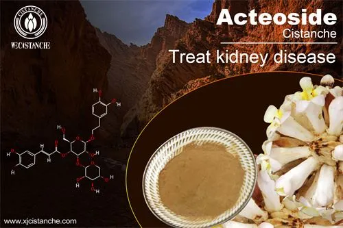 to improve kidney function and prevent Zinner syndrome and infertility to improve kidney function and prevent Zinner syndrome and infertility