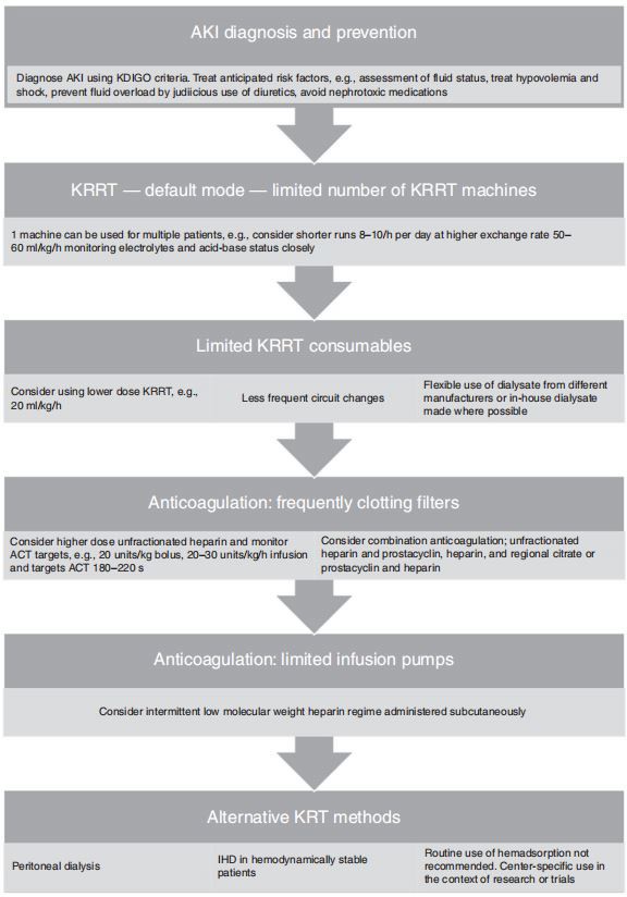 Fig. 1 Summary of acute kidney Injury and kidney replacement therapy in the context of COVID-19 and limited resources.
