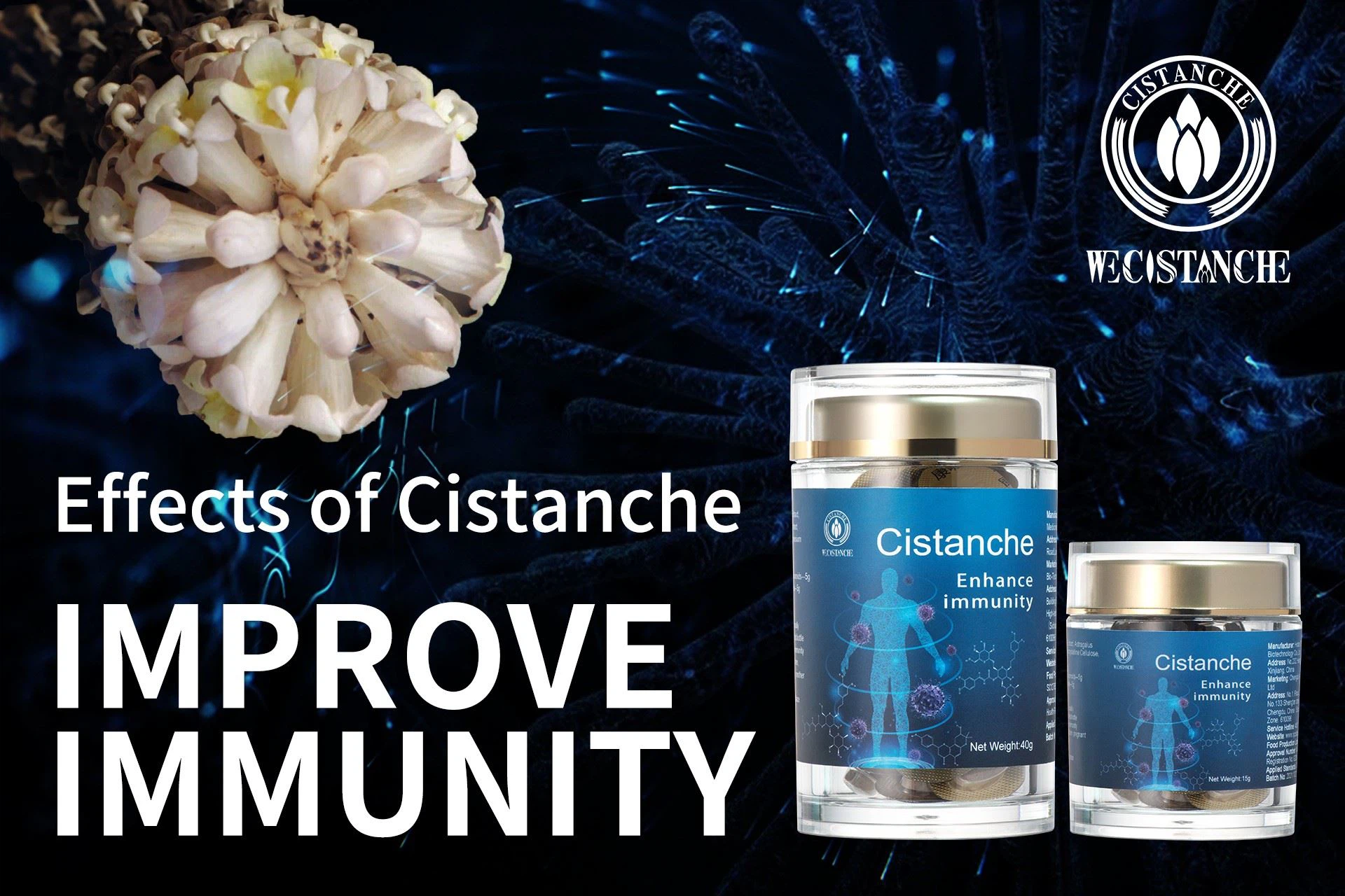 impove immunity product--Cistanche impove immunity product--Cistanche