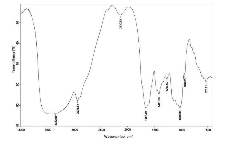 Cistanche deserticola extract promote immune response Cistanche deserticola extract promote immune response