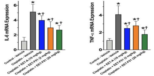 Renal inflammation in cisplatin nephrotoxicity is reduced by EET-F01 and EET-A treatments Renal inflammation in cisplatin nephrotoxicity is reduced by EET-F01 and EET-A treatments