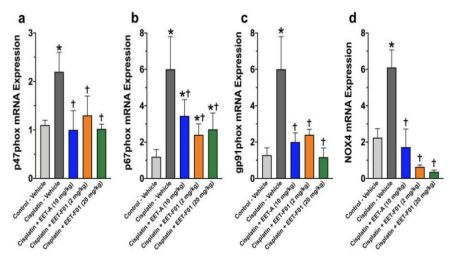 Renal oxidative stress in cisplatin nephrotoxicity is reduced by EET-F01 and EET-A treatments Renal oxidative stress in cisplatin nephrotoxicity is reduced by EET-F01 and EET-A treatments