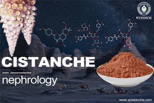 Treatment of Nephrotoxicity Treatment of Nephrotoxicity