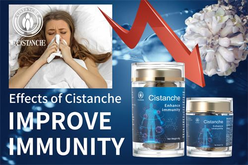 cistanche benefits for immunity cistanche benefits for immunity
