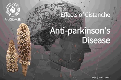 cistanche-neuroprotection5