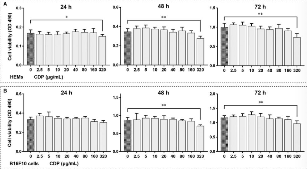 F I G U R E 1   The cytotoxicity of CDP in HEMs and B16F10 cells. 