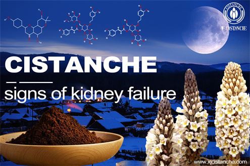 kidney disease: diabetic nephropathy