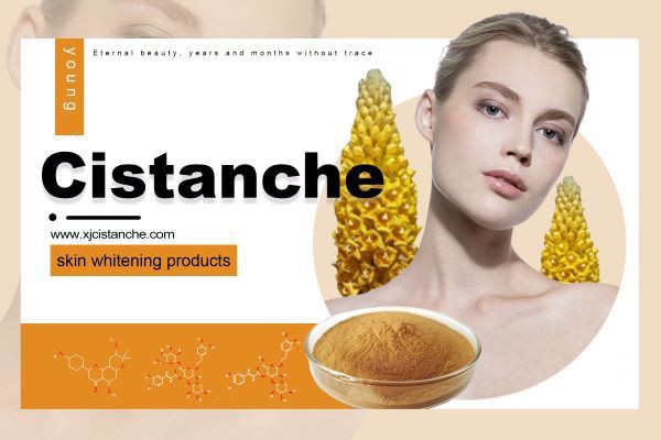 Cistanche is a skin whitening agent.