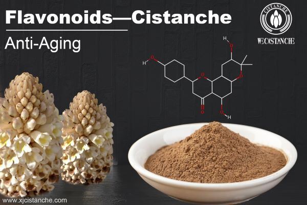 Flavonoids, the main element of Cistanche, is anti-aging. Flavonoids, the main element of Cistanche, is anti-aging.