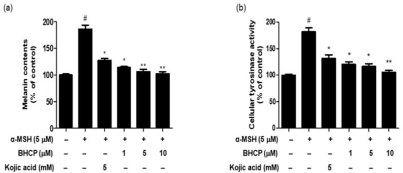 Figure 4. Inhibition of melanin contents (a) and cellular tyrosinase activity (b) of BHCP on B16F10 melanoma cells.
