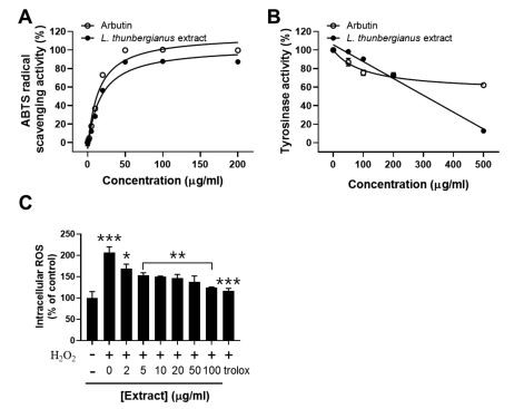 Figure 1. Analysis of the L. thunbergianus extract for (A) ABTS radical scavenging, (B) anti-tyrosinase, and (C) intracellular ROS scavenging activities. Figure 1. Analysis of the L. thunbergianus extract for (A) ABTS radical scavenging, (B) anti-tyrosinase, and (C) intracellular ROS scavenging activities.
