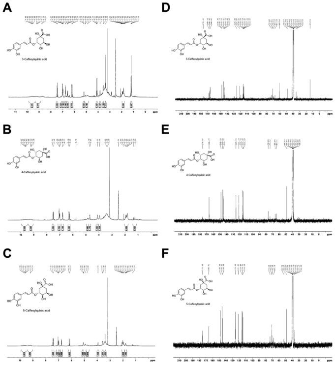 Figure 4. 1 H NMR spectra of (A) 3-caffeoylquinic acid, (B) 4-caffeoylquinic acid, and (C) 5-caffeoylquinic acid and 13C NMR spectra of (D) 3- caffeoylquinic acid, (E) 4-caffeoylquinic acid, and (F) 5-caffeoylquinic acid Figure 4. 1 H NMR spectra of (A) 3-caffeoylquinic acid, (B) 4-caffeoylquinic acid, and (C) 5-caffeoylquinic acid and 13C NMR spectra of (D) 3- caffeoylquinic acid, (E) 4-caffeoylquinic acid, and (F) 5-caffeoylquinic acid