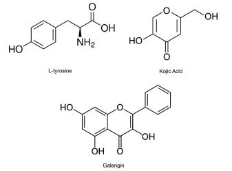 Fig. 1. The Structures of Galangin, Kojic Acid, and Tyrosine Fig. 1. The Structures of Galangin, Kojic Acid, and Tyrosine