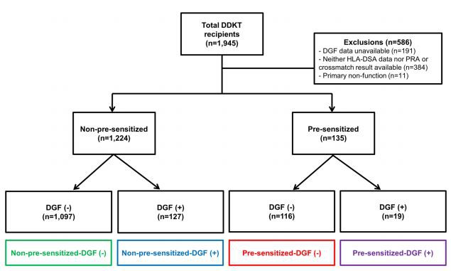 Figure 4. Distribution of the patient population according to DGF or pre-sensitization to HLA. DGF delayed  graf function, HLA human leukocyte antigen, DDKT deceased donor kidney transplantation, DSA donorspecifc antibody