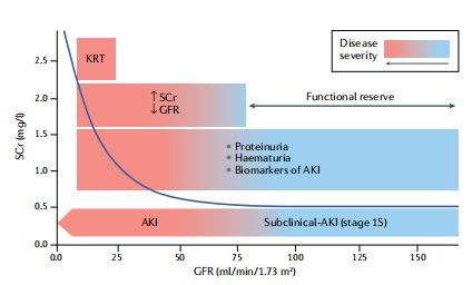 Fig. 2 | Different stages of CoVID-19-associated acute kidney injury.