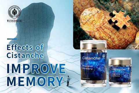 Cistanche-improve memory11 Cistanche-improve memory11