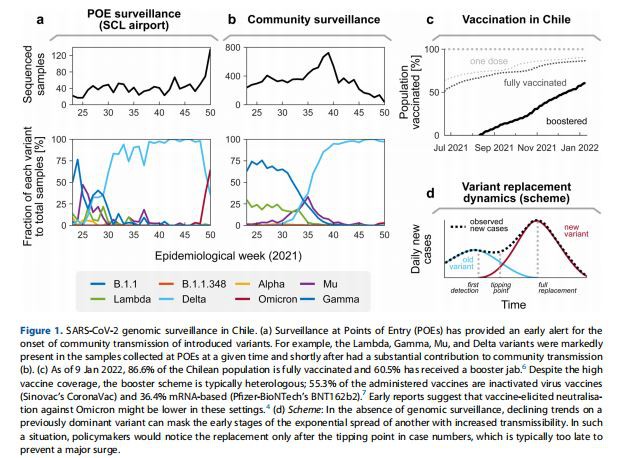SARS-CoV-2 genomic surveillance in Chile