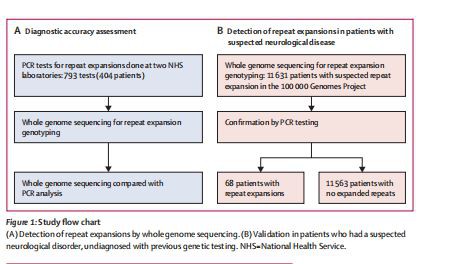 Study flow chart Study flow chart