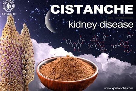 cistanche-kidney disease-5(53)